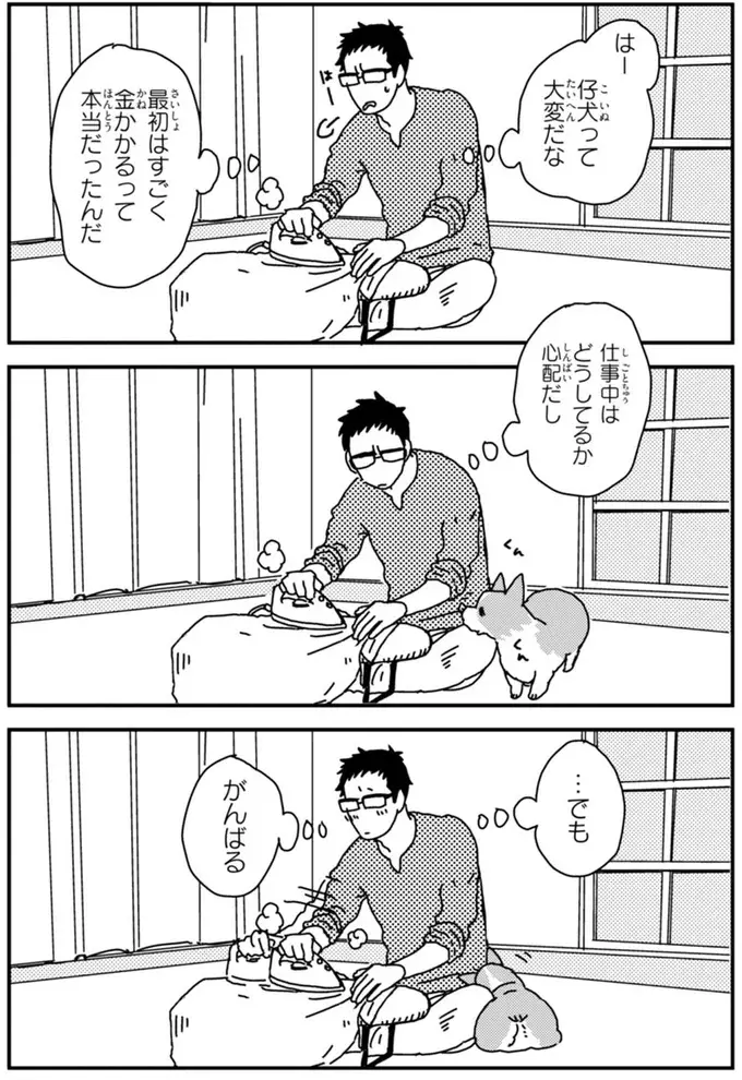 『あしょんでよッ ～うちの犬ログ～ 1～10』（86）