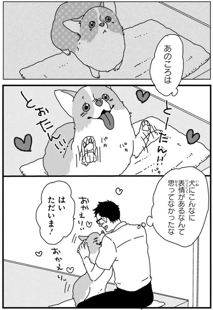 『あしょんでよッ ～うちの犬ログ～ 1～10』（88）