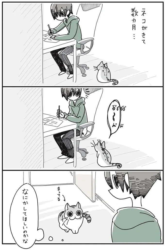 『夜は猫といっしょ』1～3（2）