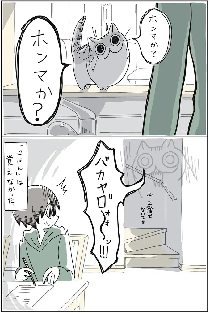 『夜は猫といっしょ』1～3（10）