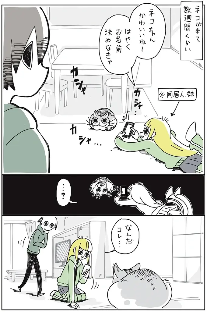 『夜は猫といっしょ』1～3（15）