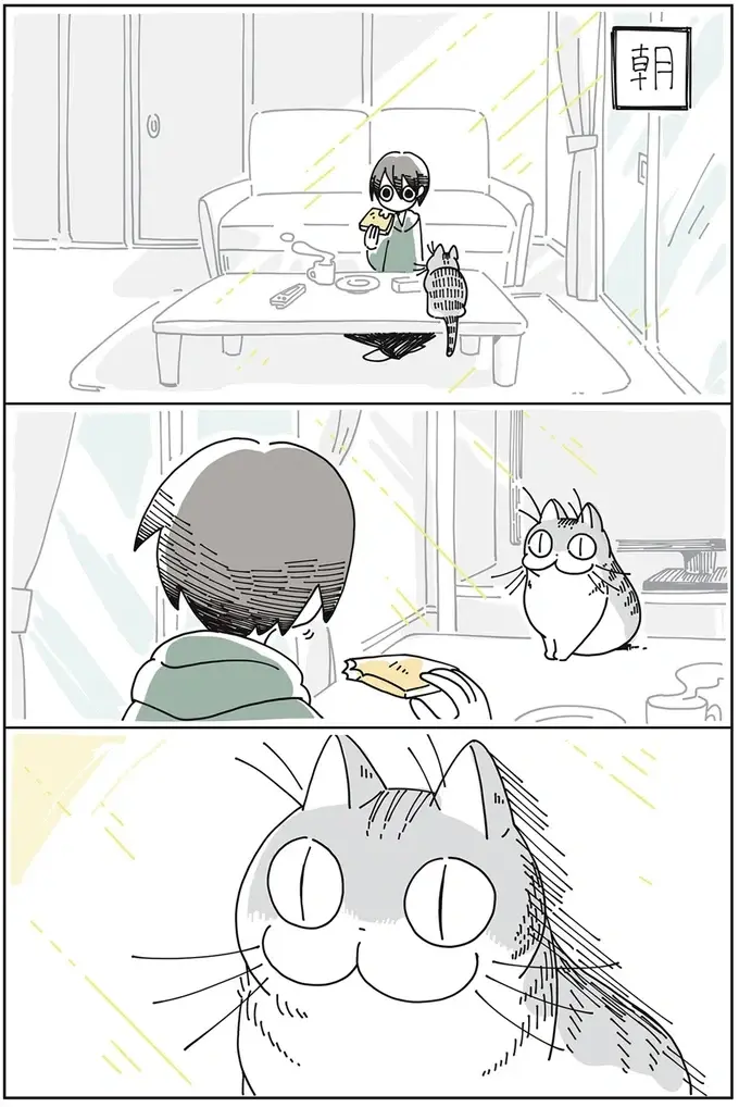 『夜は猫といっしょ』1～3（18）