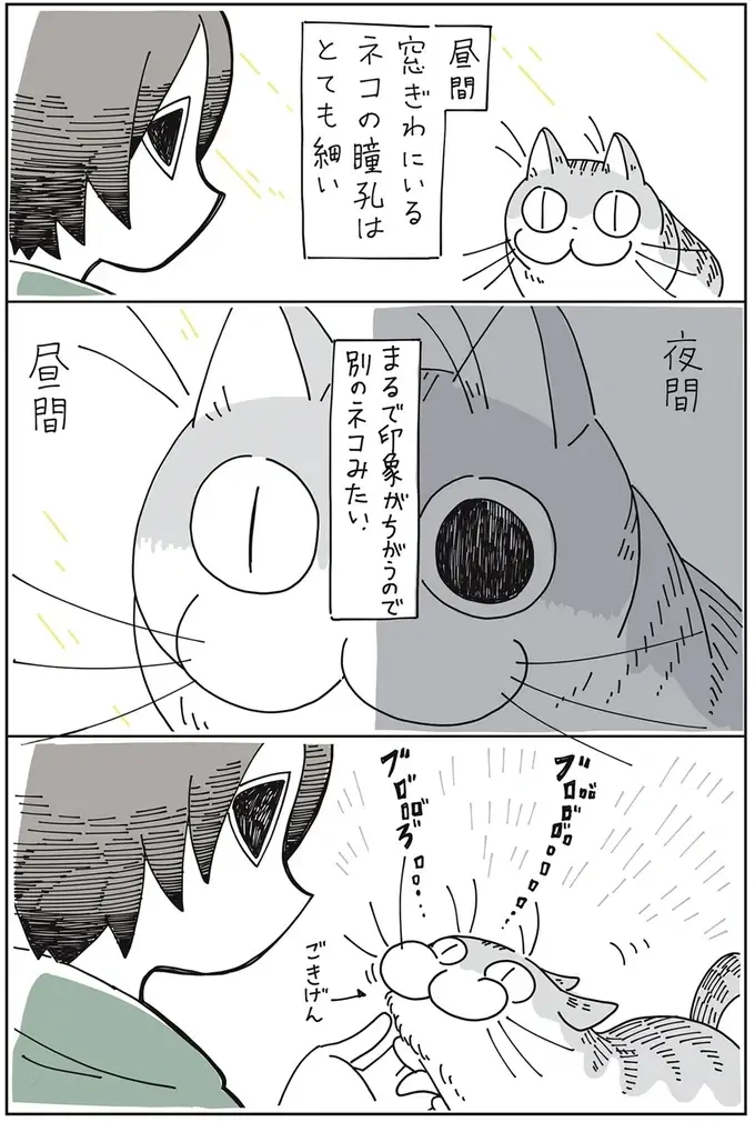 『夜は猫といっしょ』1～3（19）