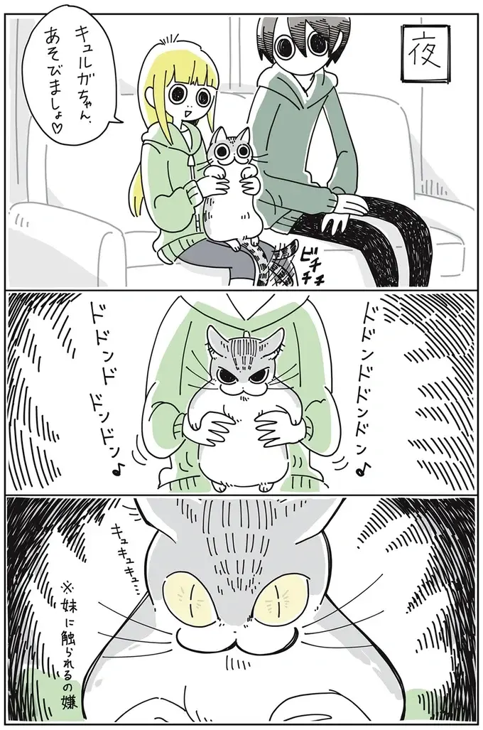 『夜は猫といっしょ』1～3（20）