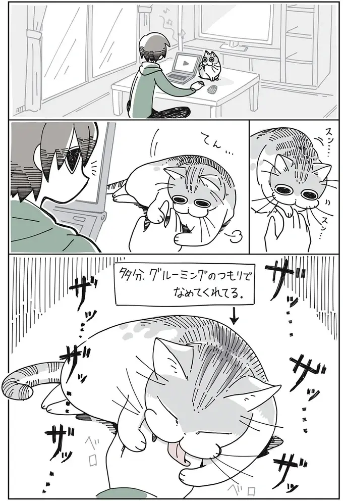 『夜は猫といっしょ』1～3（22）