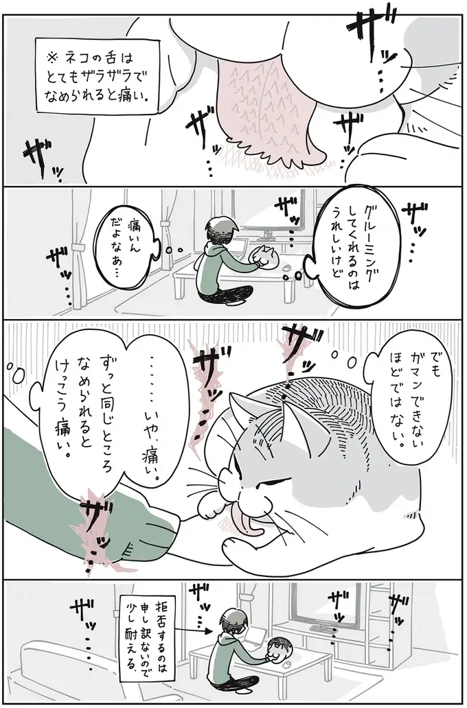 『夜は猫といっしょ』1～3（23）