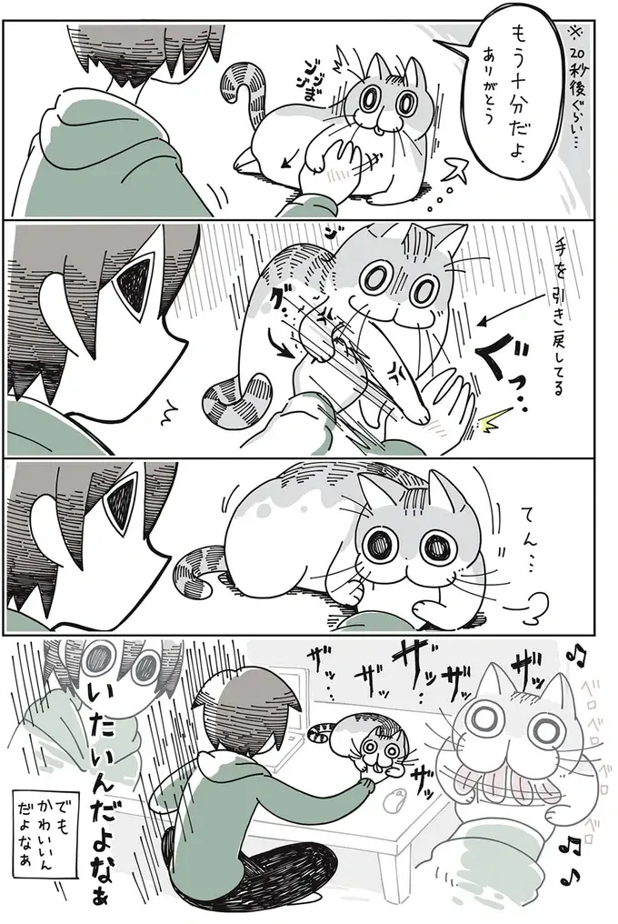 『夜は猫といっしょ』1～3（24）