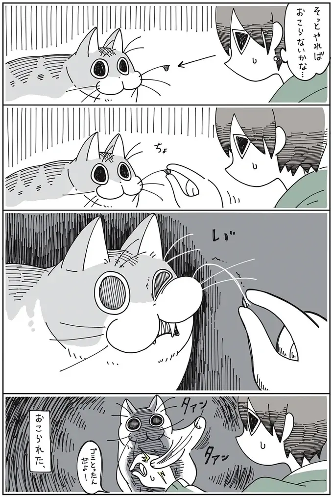 『夜は猫といっしょ』1～3（26）