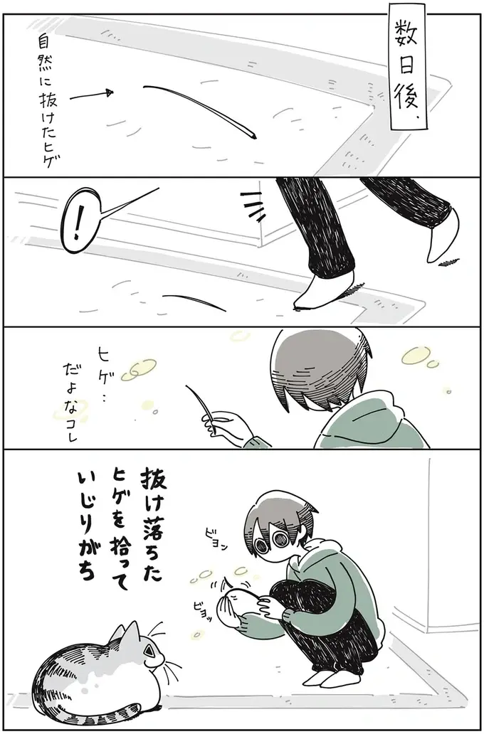『夜は猫といっしょ』1～3（27）