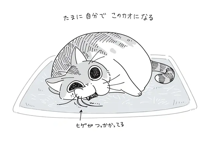 『夜は猫といっしょ』1～3（28）