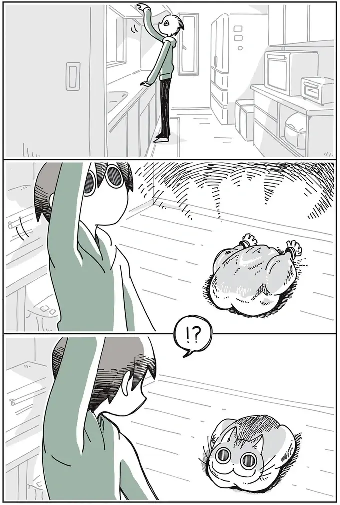 『夜は猫といっしょ』1～3（29）