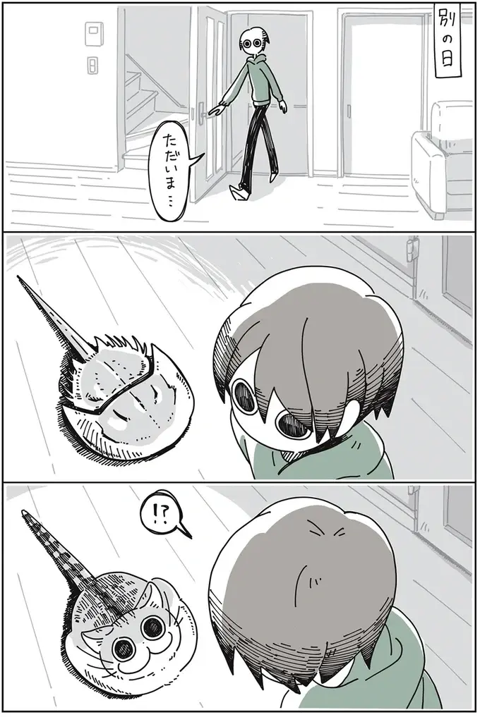 『夜は猫といっしょ』1～3（30）