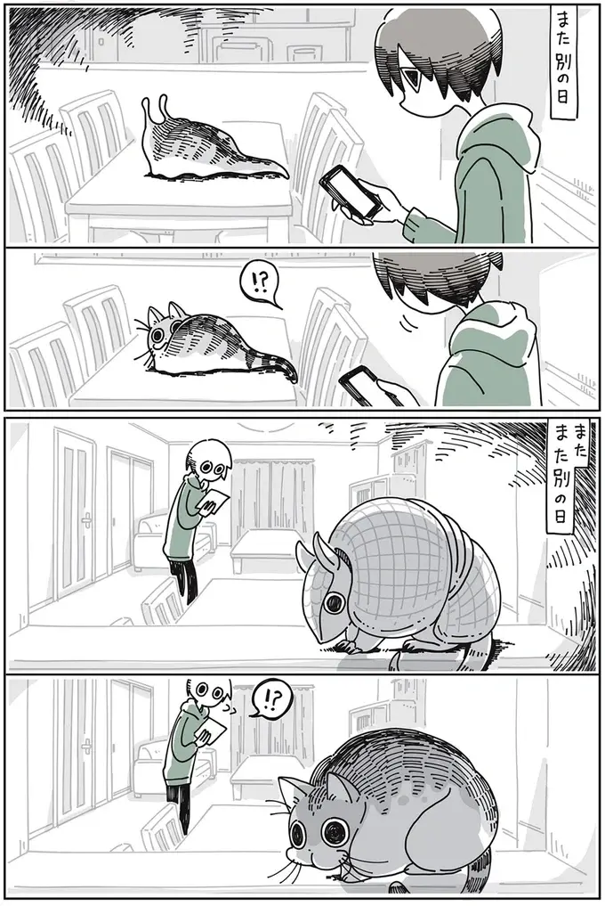 『夜は猫といっしょ』1～3（31）