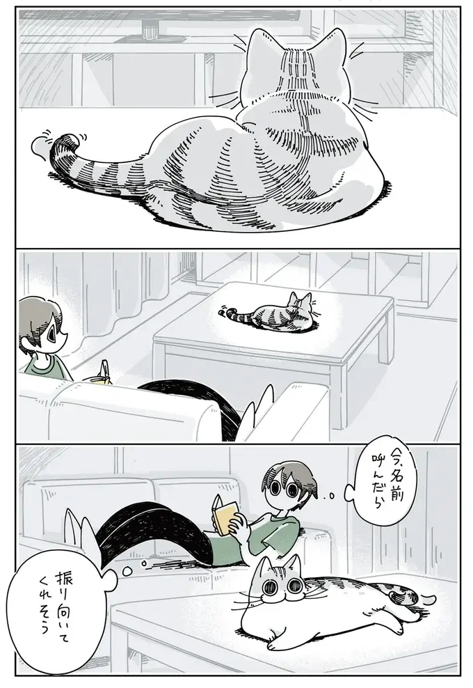 『夜は猫といっしょ』1～3（33）