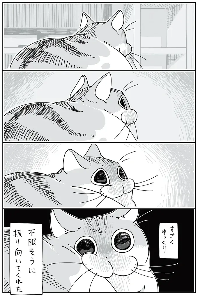 『夜は猫といっしょ』1～3（35）