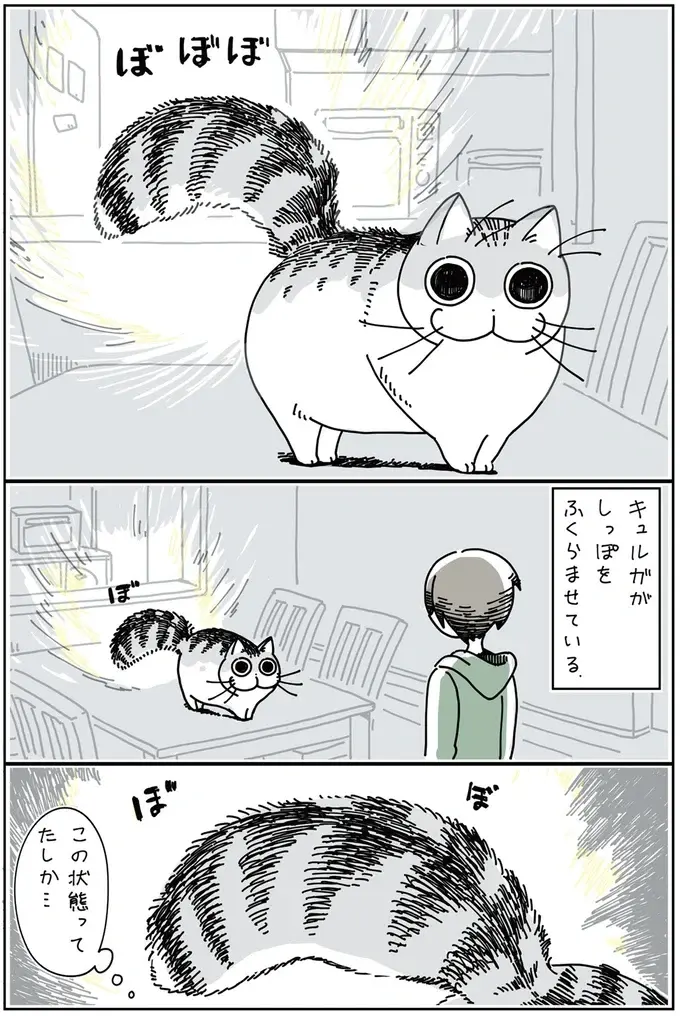 『夜は猫といっしょ』1～3（36）