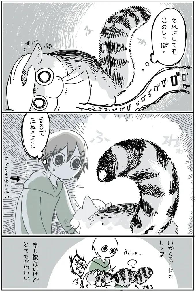 『夜は猫といっしょ』1～3（39）