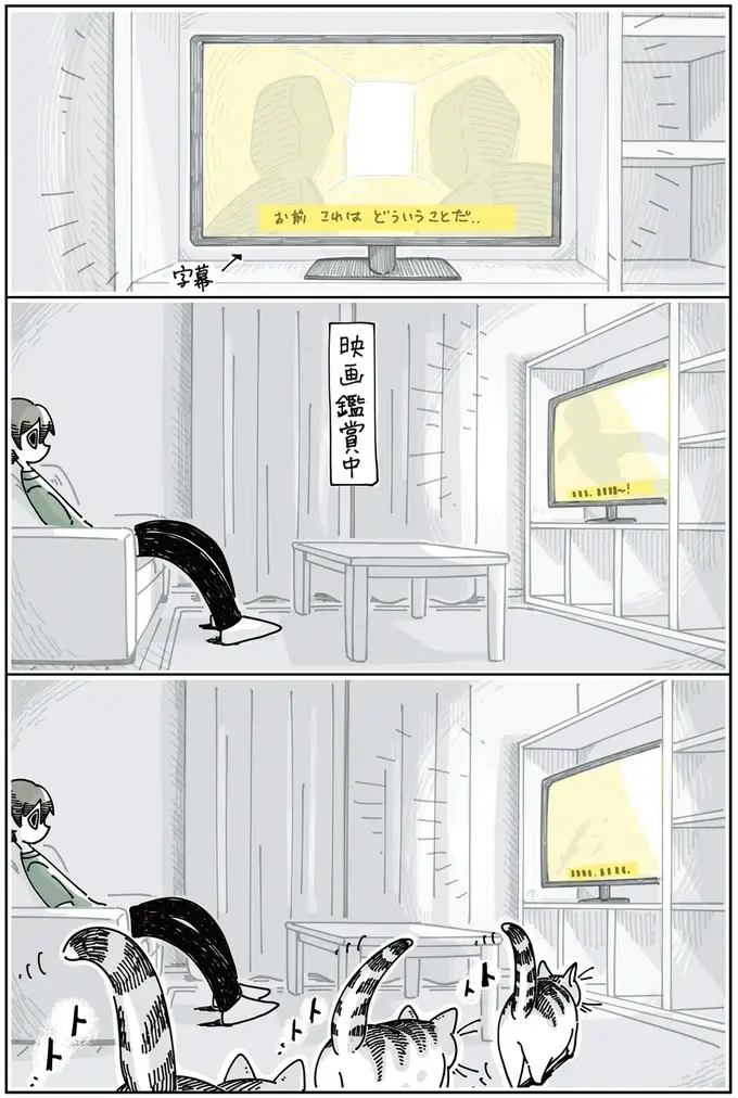 『夜は猫といっしょ』1～3（40）