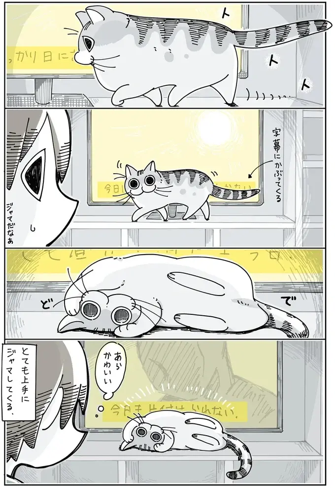 『夜は猫といっしょ』1～3（42）