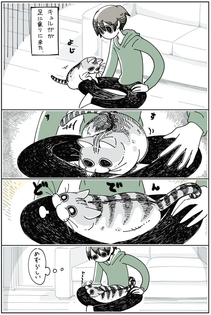 『夜は猫といっしょ』1～3（43）
