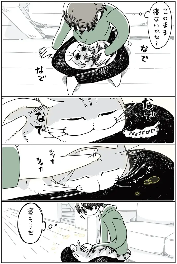 『夜は猫といっしょ』1～3（44）