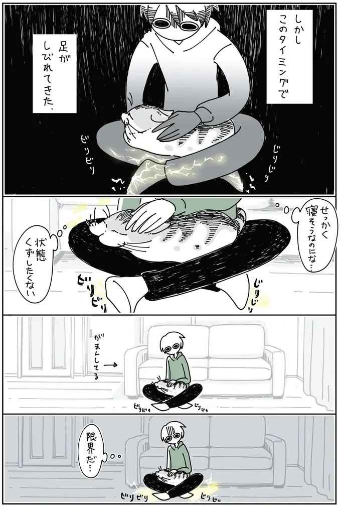 『夜は猫といっしょ』1～3（45）