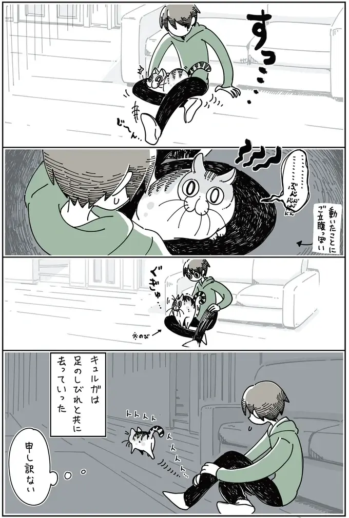 『夜は猫といっしょ』1～3（46）