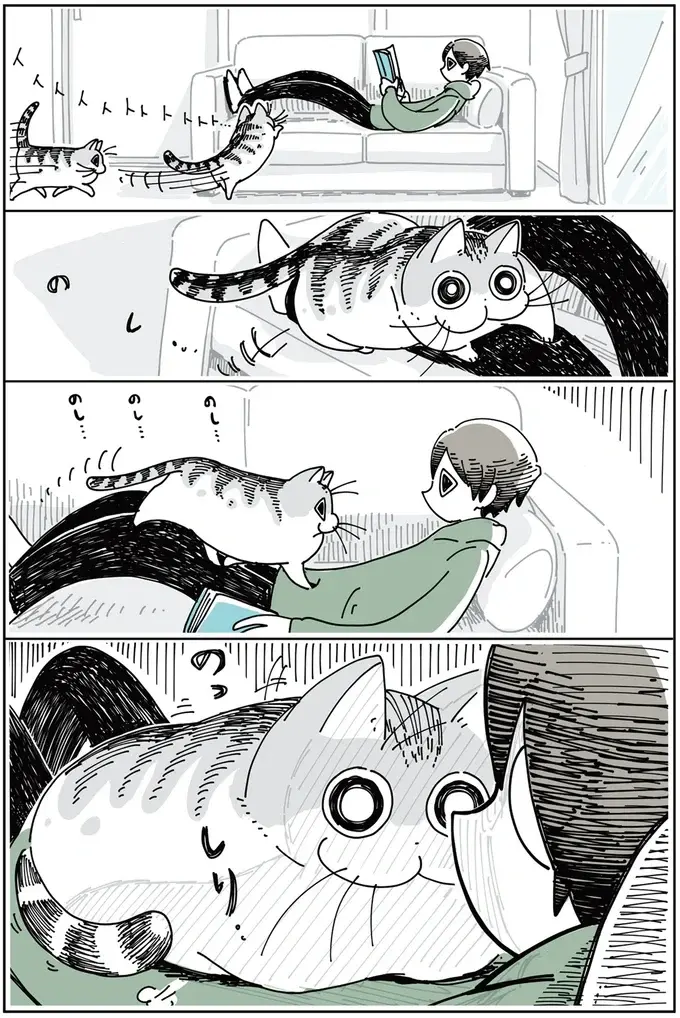 『夜は猫といっしょ』1～3（47）