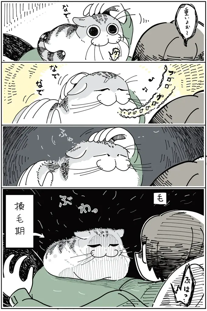 『夜は猫といっしょ』1～3（48）
