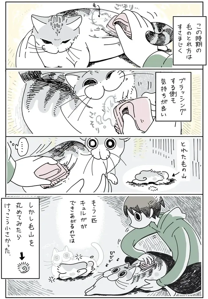 『夜は猫といっしょ』1～3（50）