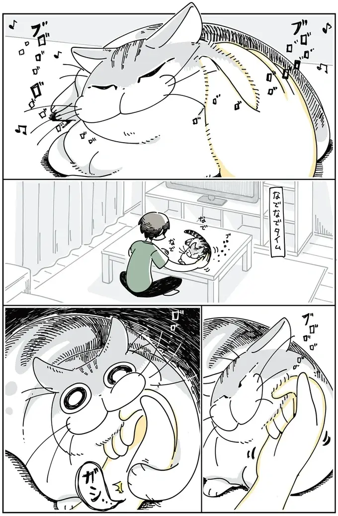 『夜は猫といっしょ』1～3（51）