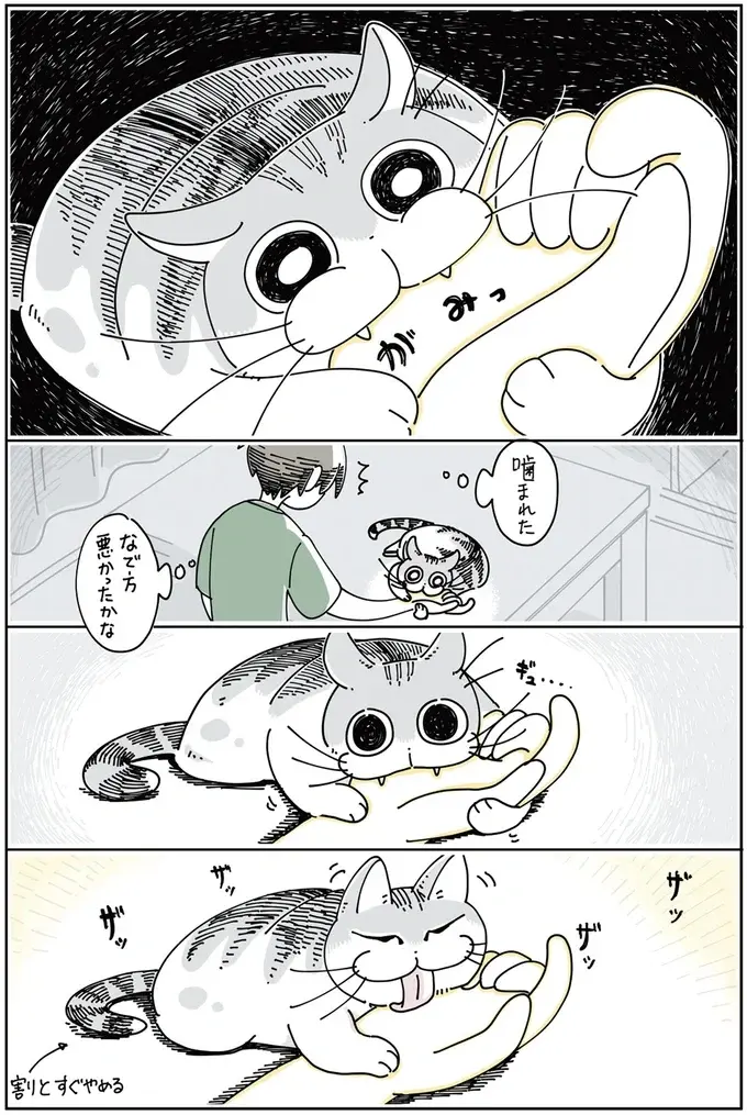 『夜は猫といっしょ』1～3（52）