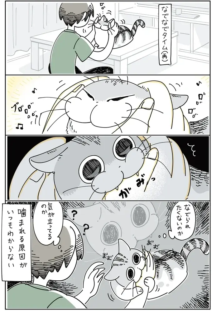 『夜は猫といっしょ』1～3（53）
