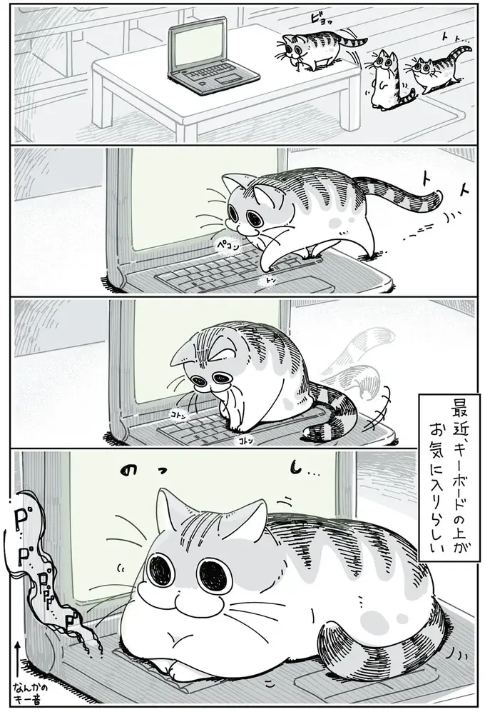 『夜は猫といっしょ』1～3（54）