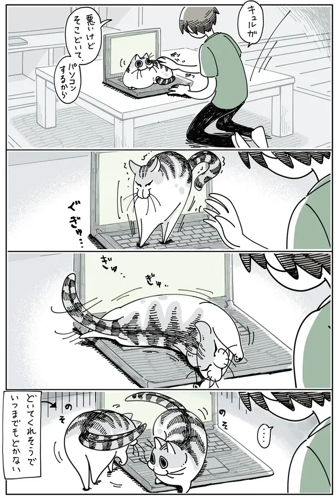 『夜は猫といっしょ』1～3（55）