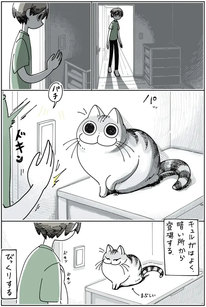 『夜は猫といっしょ』1～3（57）