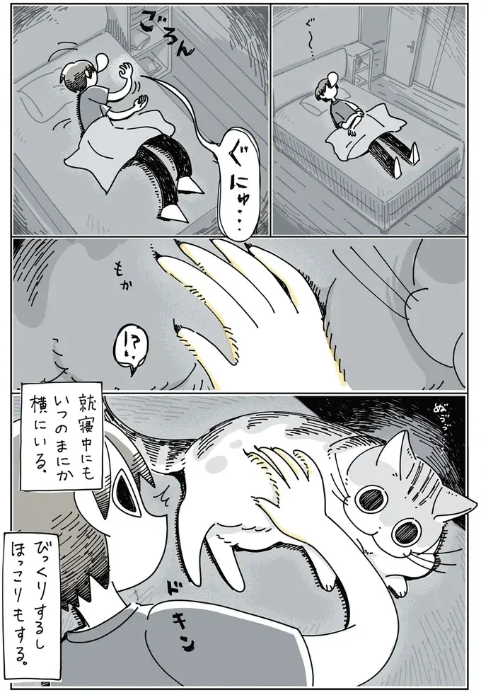 『夜は猫といっしょ』1～3（59）