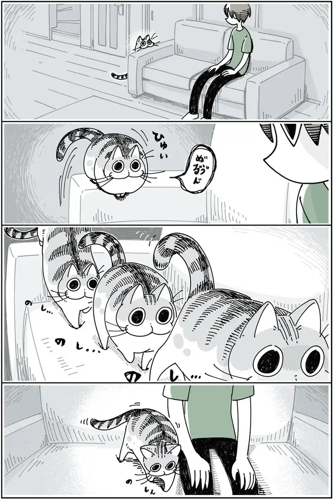 『夜は猫といっしょ』1～3（60）