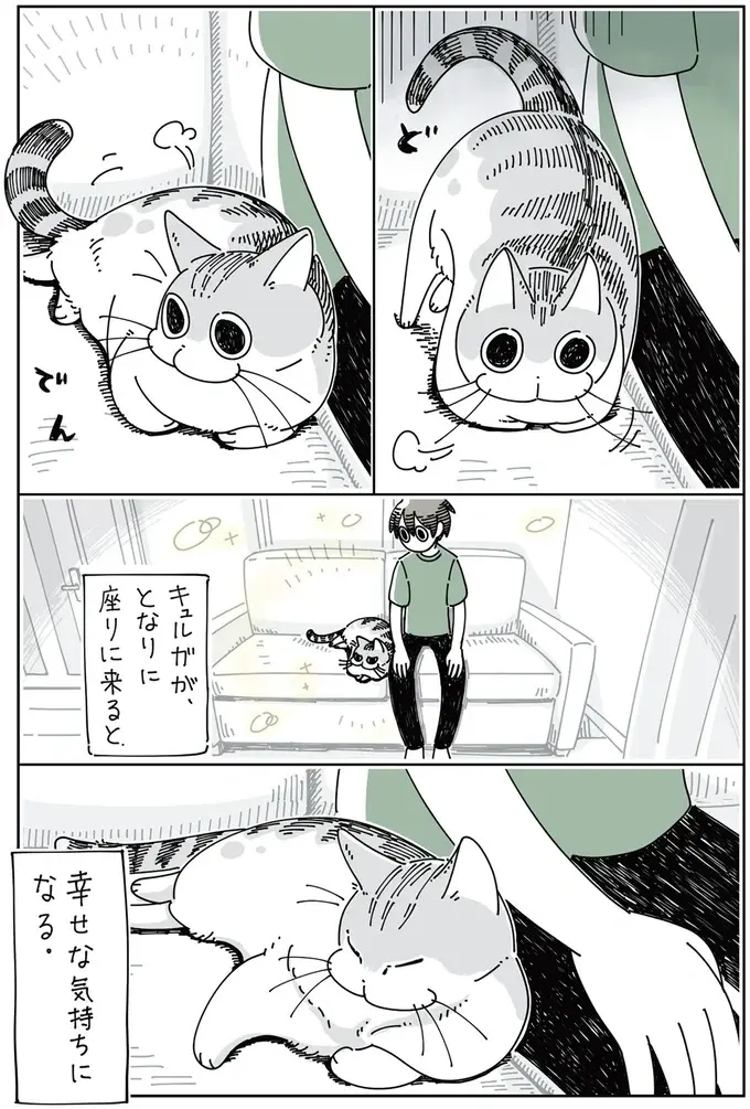 『夜は猫といっしょ』1～3（61）