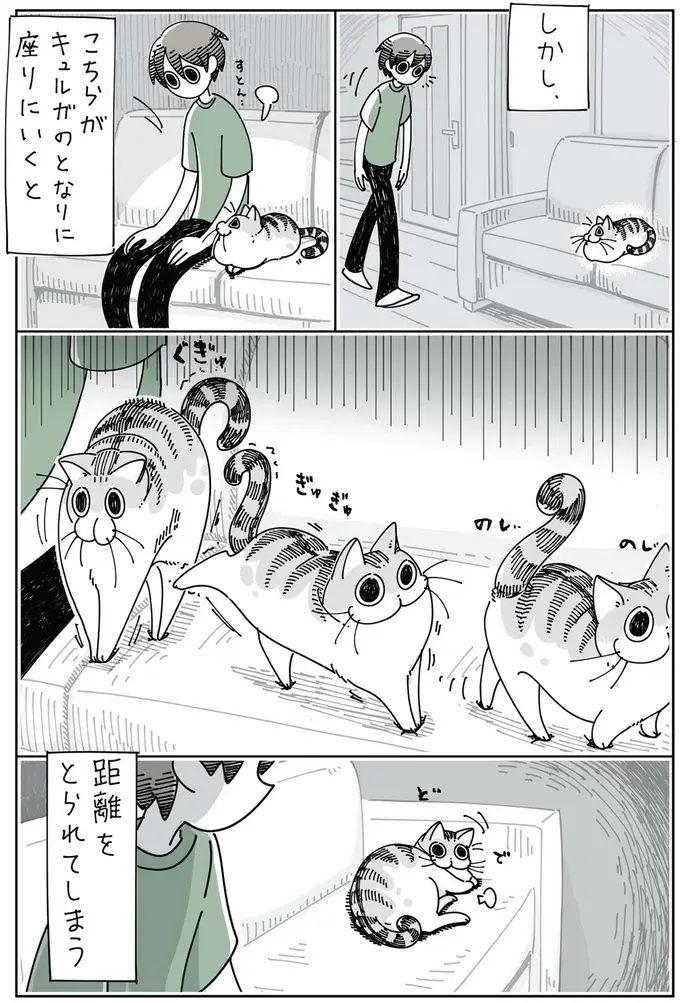 『夜は猫といっしょ』1～3（62）
