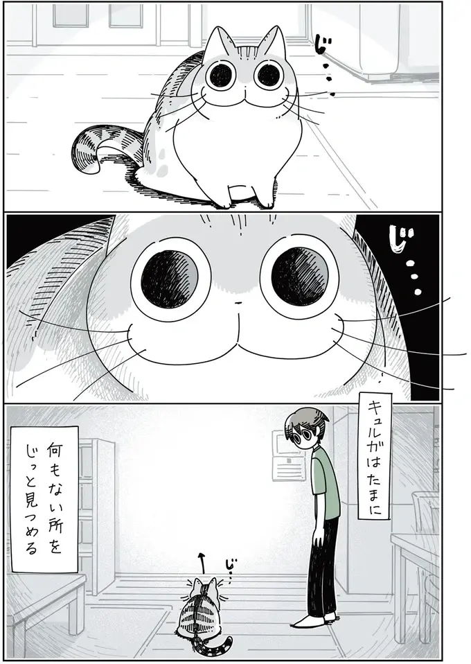 『夜は猫といっしょ』1～3（63）