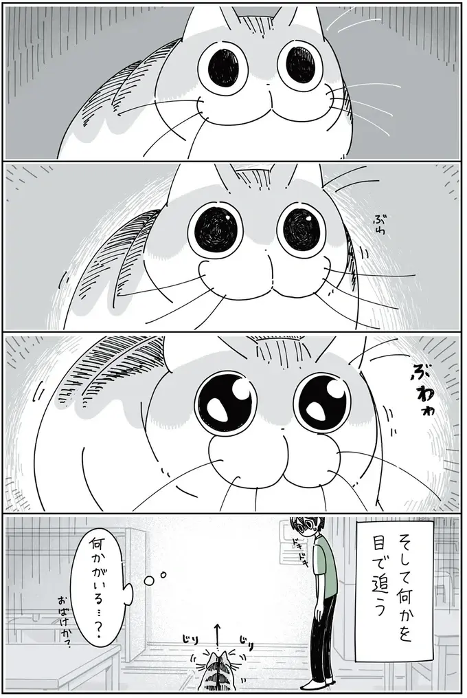 『夜は猫といっしょ』1～3（64）