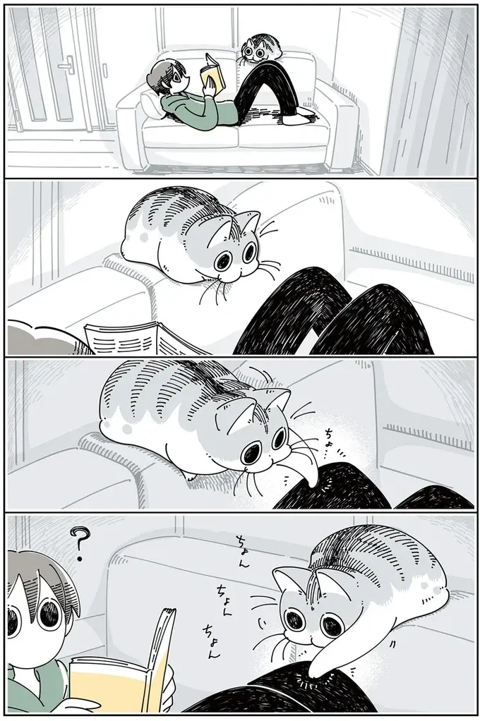 『夜は猫といっしょ』1～3（66）