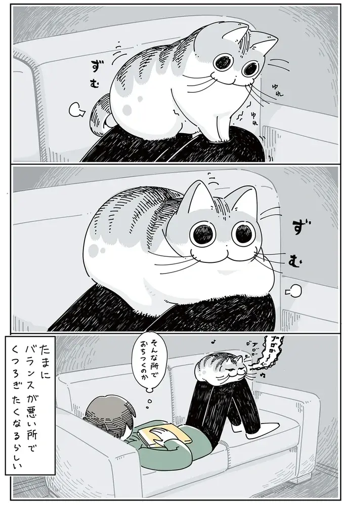 『夜は猫といっしょ』1～3（68）