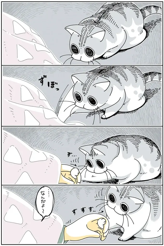 『夜は猫といっしょ』1～3（70）