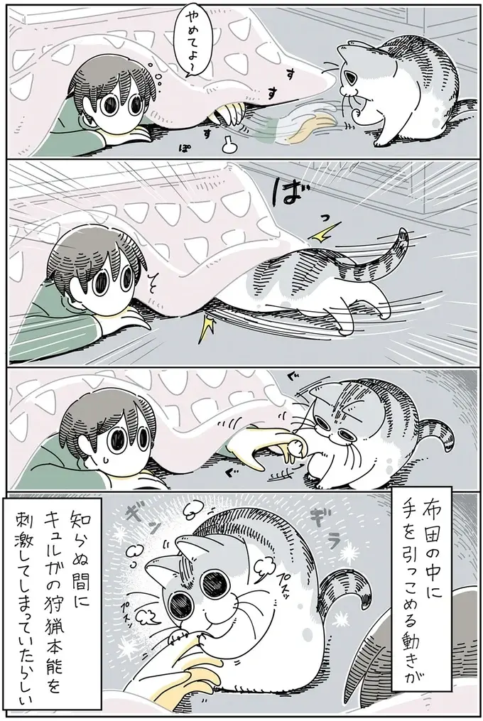 『夜は猫といっしょ』1～3（71）