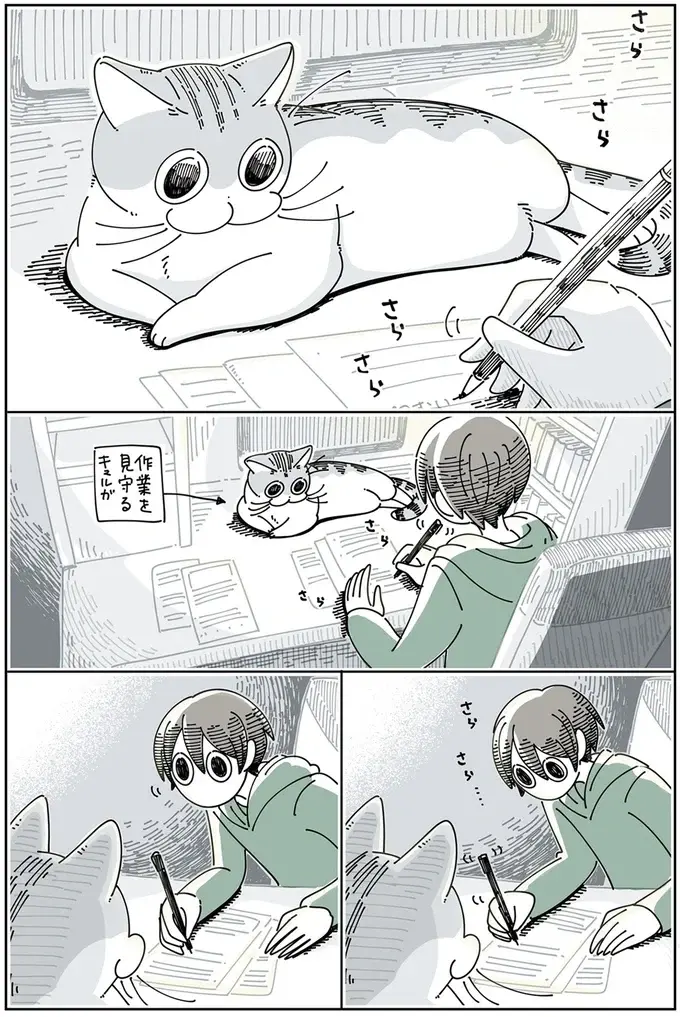『夜は猫といっしょ』1～3（72）