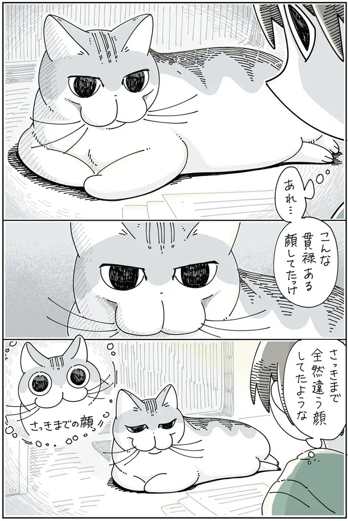 『夜は猫といっしょ』1～3（73）