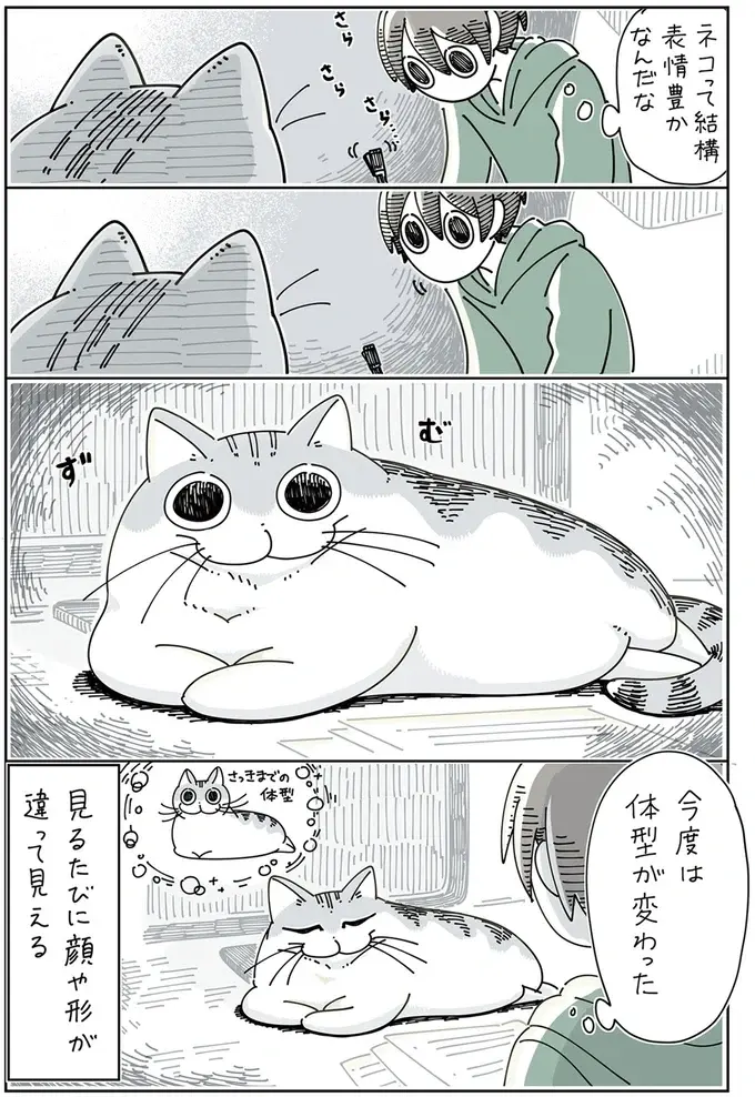 『夜は猫といっしょ』1～3（74）