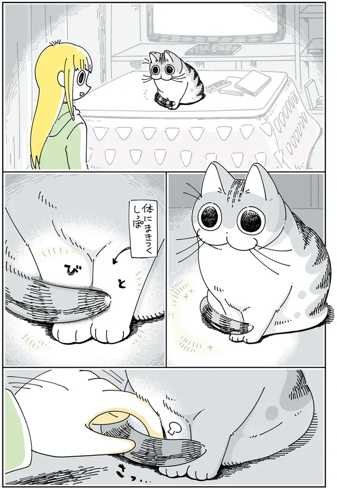 『夜は猫といっしょ』1～3（75）